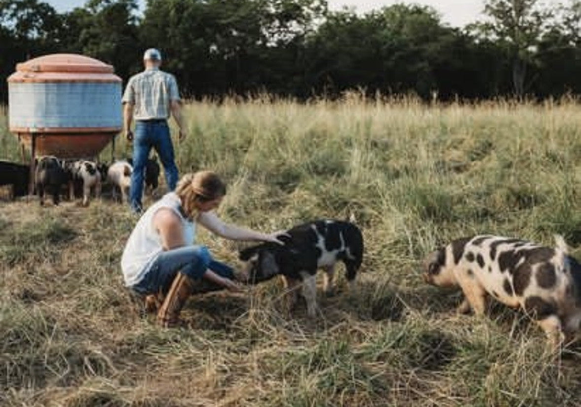 Guide to Raise Forest Fed Pork - The Way Nature Intended