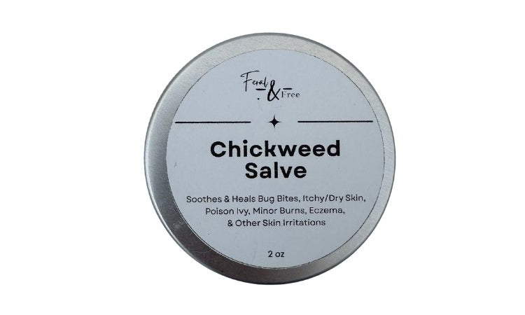Ayers Valley Farm - Chickweed Salve - 1 fl. oz