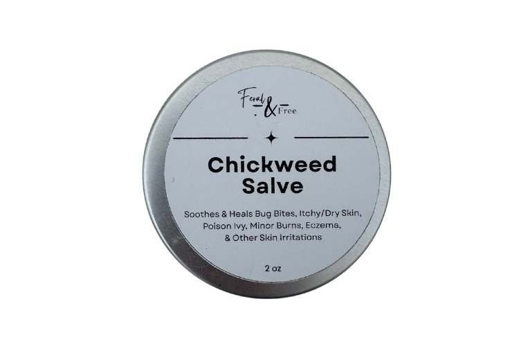 Ayers Valley Farm - Chickweed Salve - 1 fl. oz