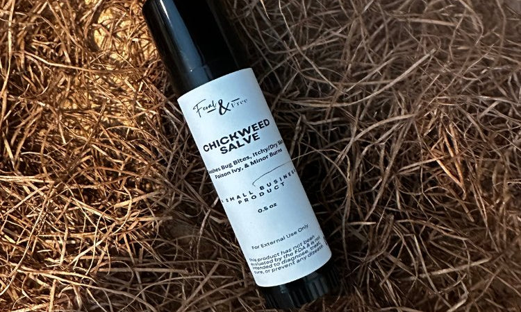 Ayers Valley Farm - Chickweed Salve Stick - .5 oz