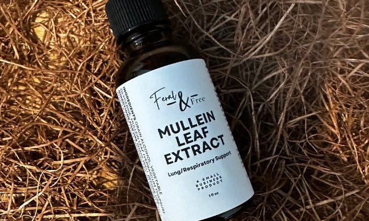Ayers Valley Farm - Mullein Leaf Extract - 1 fl. oz