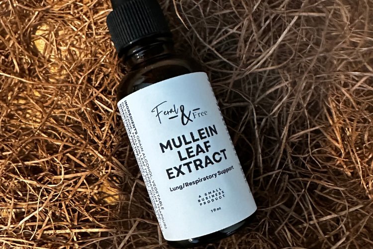 Ayers Valley Farm - Mullein Leaf Extract - 1 fl. oz
