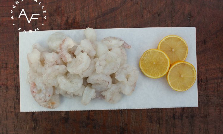 Ayers Valley Farm - White Gulf Shrimp (RAW) - 16 oz | 31-40 count Peeled & Deveined Tail Off