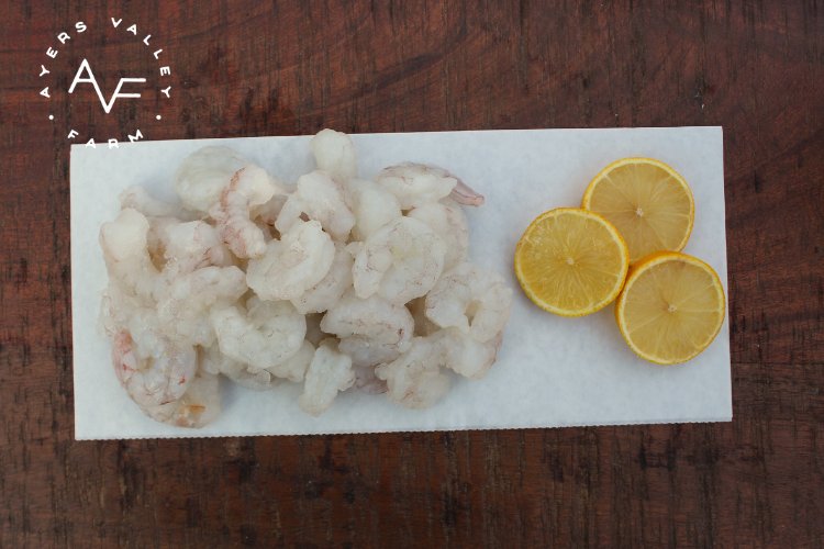 Ayers Valley Farm - White Gulf Shrimp (RAW) - 16 oz | 31-40 count Peeled & Deveined Tail Off